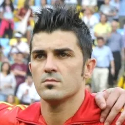 Foto de David Villa